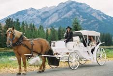 Carriage Rides in Banff