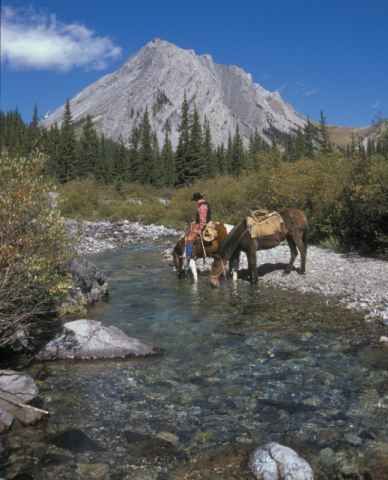 Horse Back Riding Banff area one hour to seven hours