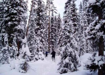 Snowshoeing near Banff