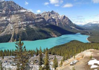 Peyto Lake along the Icefields Parkway